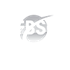 Logo IFBSO
